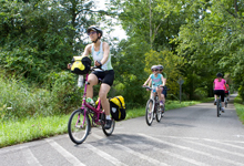 Harlem Valley Rail Trail near Brook n Wood Campground